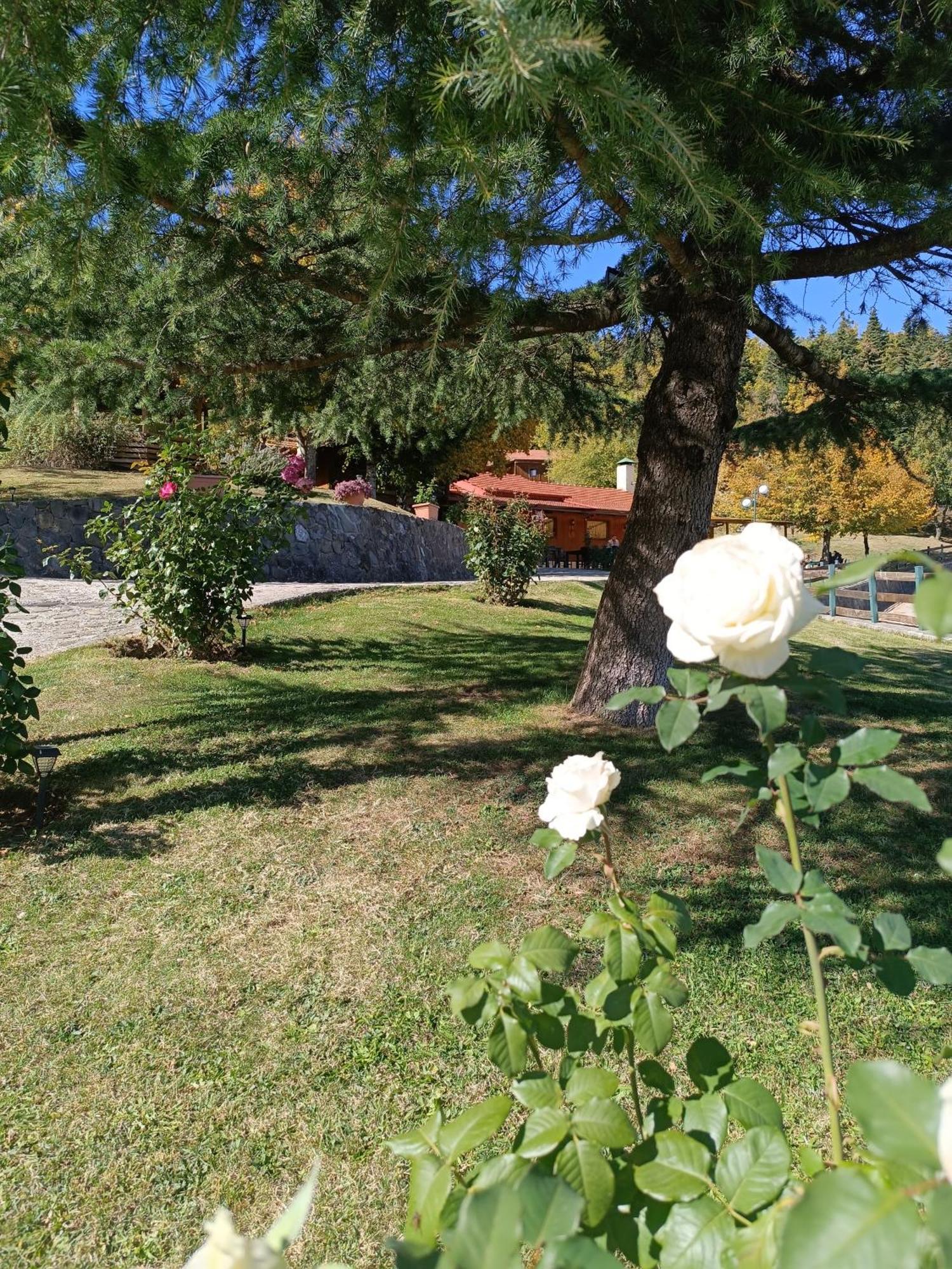 Livadaki Village Megali Kapsi Exteriör bild