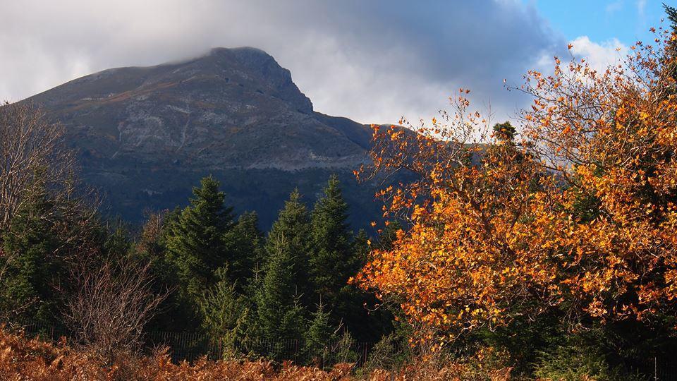 Livadaki Village Megali Kapsi Exteriör bild