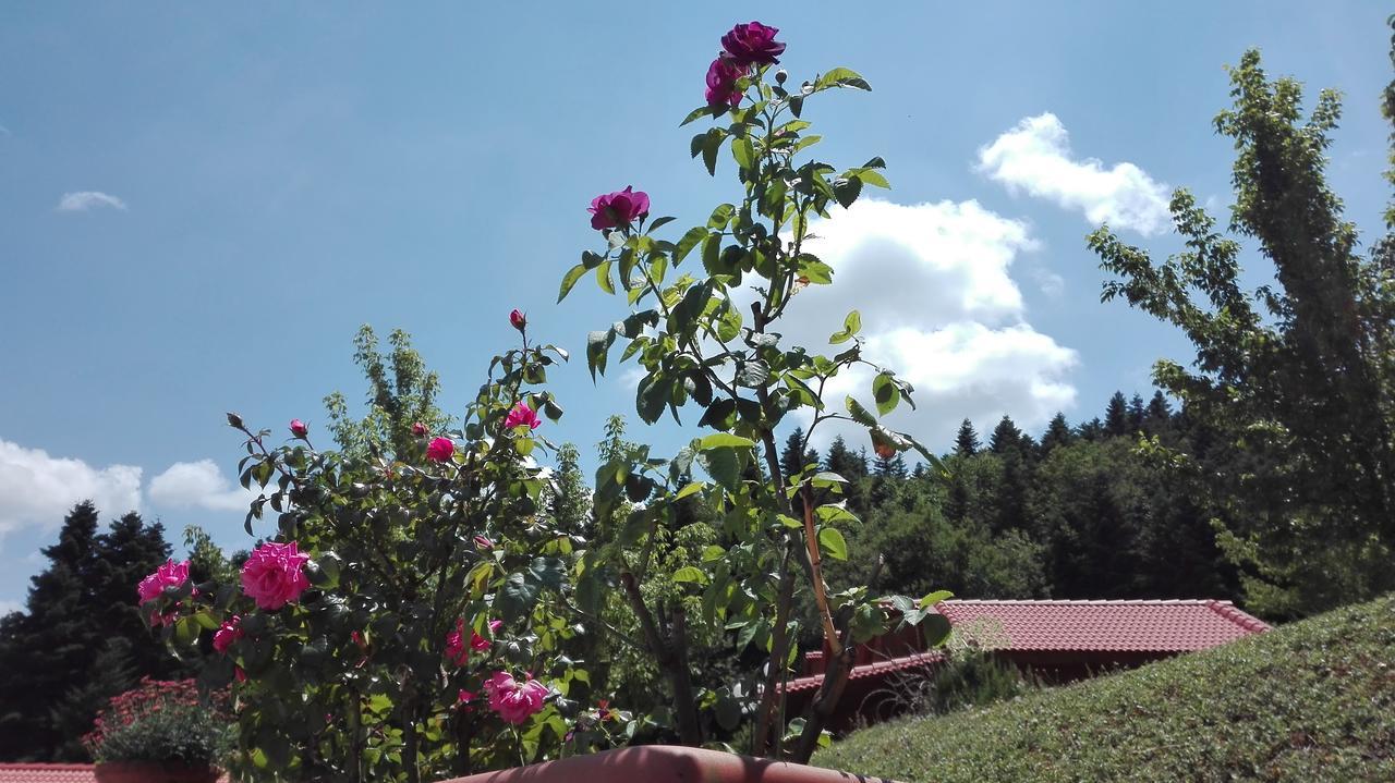 Livadaki Village Megali Kapsi Exteriör bild